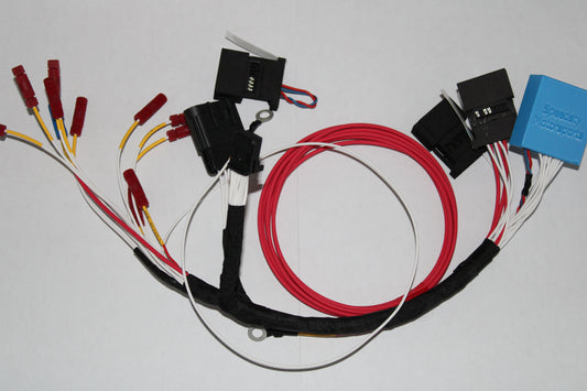 E9X/E60 BMW PNP Holley Terminator X Harness