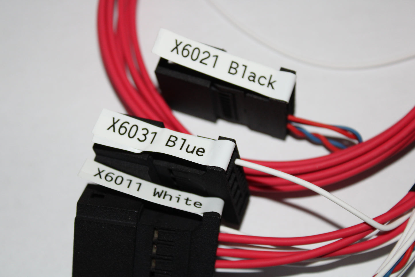 E9X/E60 BMW PNP Holley Terminator X Harness