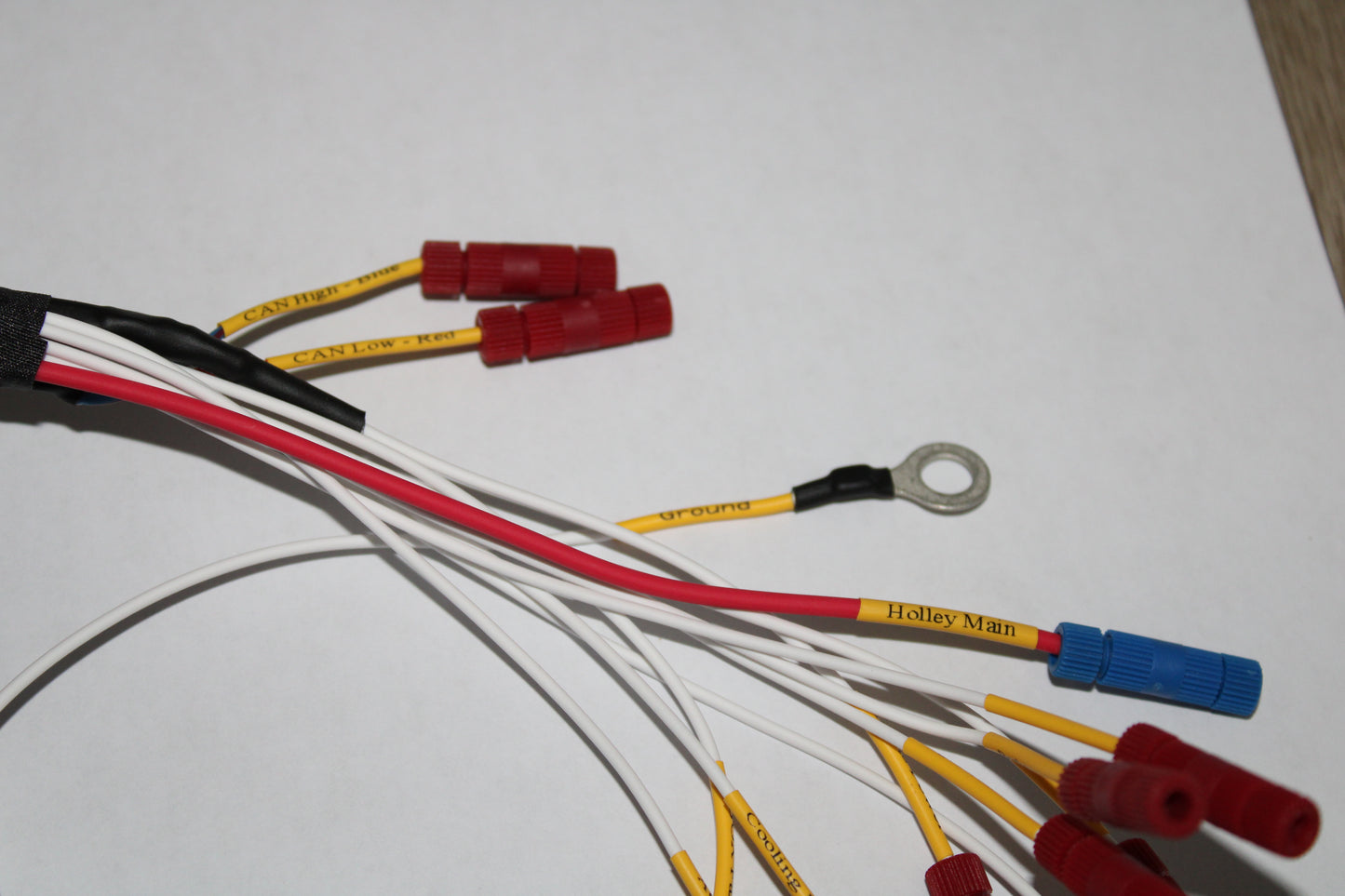 E9X/E60 BMW PNP Holley Terminator X Harness