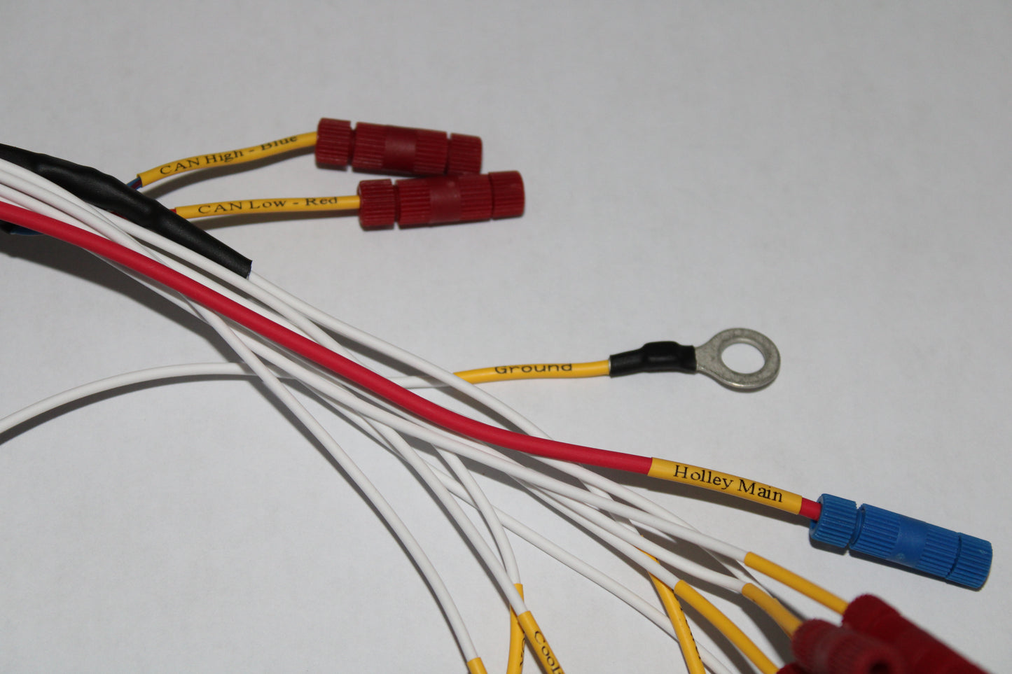 E9X/E60 BMW PNP Holley Terminator X Harness