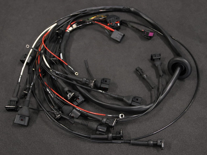 Custom Engine Harness